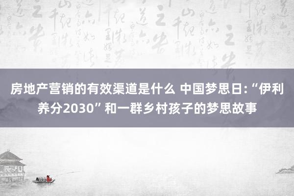 房地产营销的有效渠道是什么 中国梦思日:“伊利养分2030”和一群乡村孩子的梦思故事