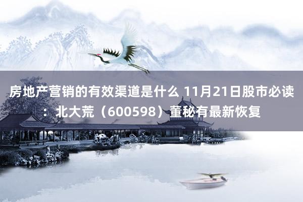 房地产营销的有效渠道是什么 11月21日股市必读：北大荒（600598）董秘有最新恢复