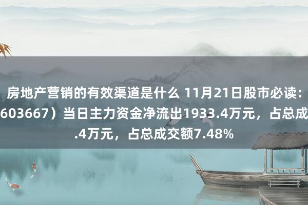 房地产营销的有效渠道是什么 11月21日股市必读：五洲新春（603667）当日主力资金净流出1933.4万元，占总成交额7.48%