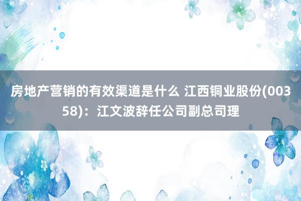 房地产营销的有效渠道是什么 江西铜业股份(00358)：江文波辞任公司副总司理