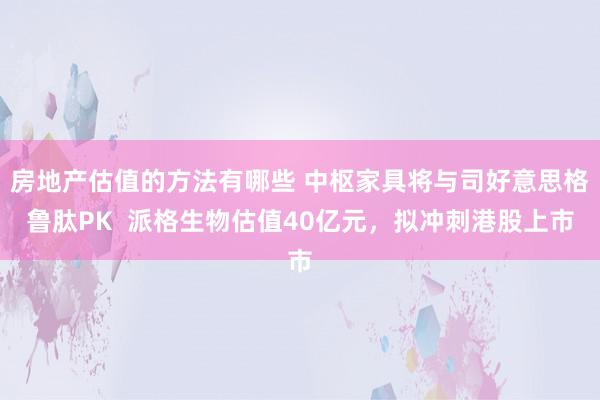 房地产估值的方法有哪些 中枢家具将与司好意思格鲁肽PK  派格生物估值40亿元，拟冲刺港股上市