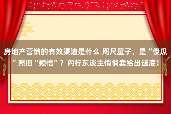 房地产营销的有效渠道是什么 咫尺屋子，是“傻瓜”照旧“颖悟”？内行东谈主悄悄卖给出谜底！