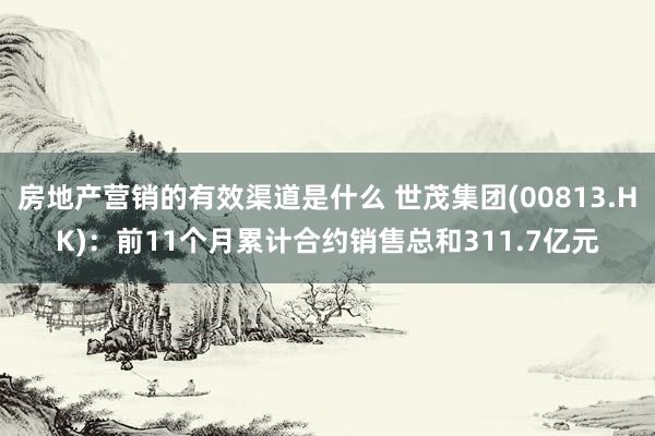 房地产营销的有效渠道是什么 世茂集团(00813.HK)：前11个月累计合约销售总和311.7亿元