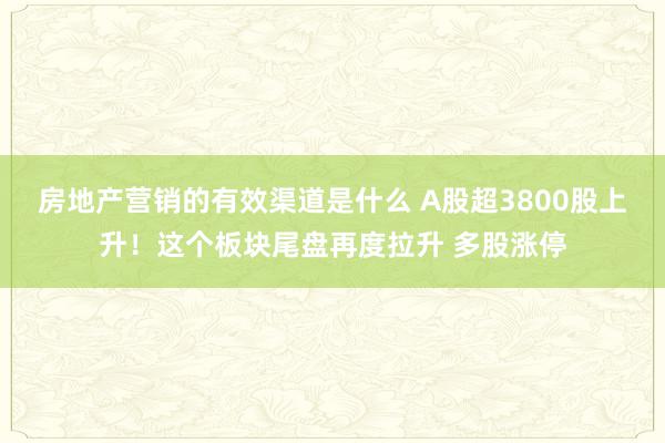 房地产营销的有效渠道是什么 A股超3800股上升！这个板块尾盘再度拉升 多股涨停