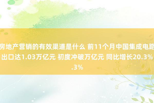 房地产营销的有效渠道是什么 前11个月中国集成电路出口达1.03万亿元 初度冲破万亿元 同比增长20.3%