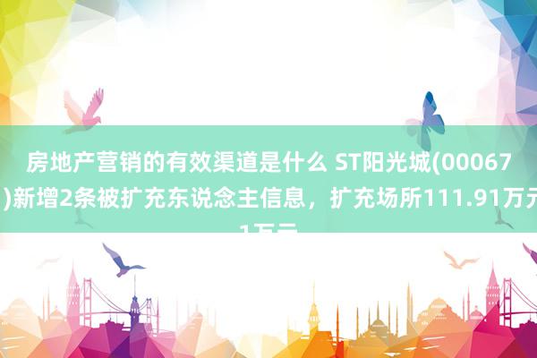 房地产营销的有效渠道是什么 ST阳光城(000671)新增2条被扩充东说念主信息，扩充场所111.91万元