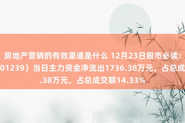 房地产营销的有效渠道是什么 12月23日股市必读：普瑞眼科（301239）当日主力资金净流出1736.38万元，占总成交额14.33%