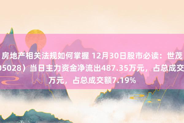 房地产相关法规如何掌握 12月30日股市必读：世茂动力（605028）当日主力资金净流出487.35万元，占总成交额7.19%