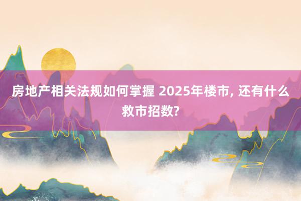 房地产相关法规如何掌握 2025年楼市, 还有什么救市招数?