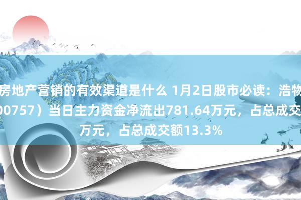 房地产营销的有效渠道是什么 1月2日股市必读：浩物股份（000757）当日主力资金净流出781.64万元，占总成交额13.3%