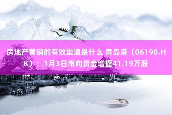 房地产营销的有效渠道是什么 青岛港（06198.HK）：1月3日南向资金增握41.19万股