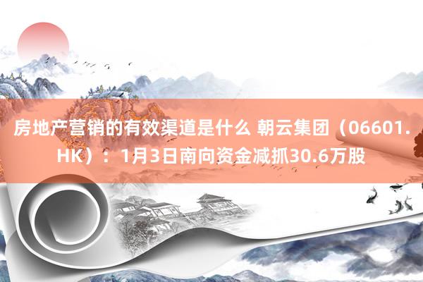 房地产营销的有效渠道是什么 朝云集团（06601.HK）：1月3日南向资金减抓30.6万股