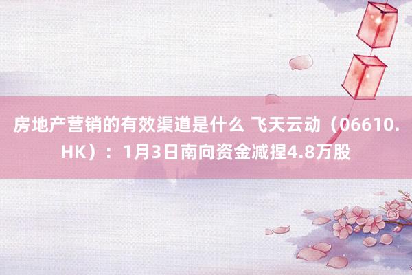 房地产营销的有效渠道是什么 飞天云动（06610.HK）：1月3日南向资金减捏4.8万股