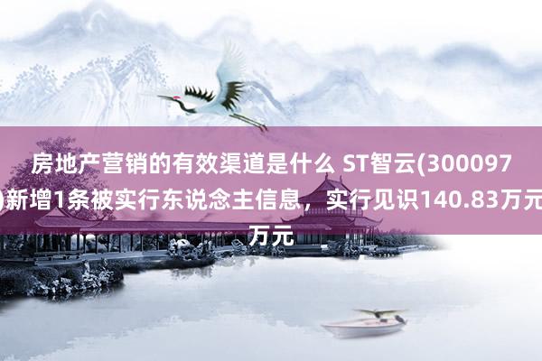 房地产营销的有效渠道是什么 ST智云(300097)新增1条被实行东说念主信息，实行见识140.83万元