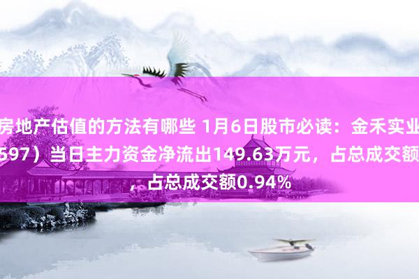 房地产估值的方法有哪些 1月6日股市必读：金禾实业（002597）当日主力资金净流出149.63万元，占总成交额0.94%