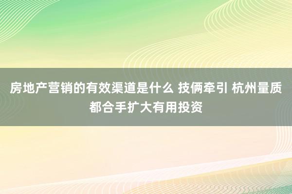 房地产营销的有效渠道是什么 技俩牵引 杭州量质都合手扩大有用投资