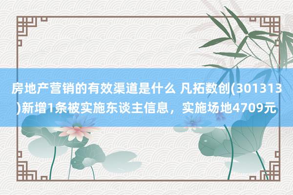 房地产营销的有效渠道是什么 凡拓数创(301313)新增1条被实施东谈主信息，实施场地4709元