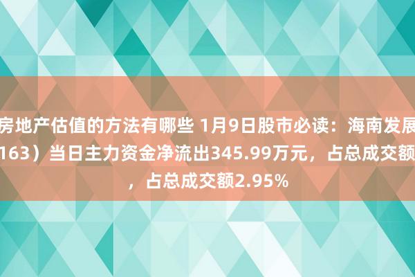 房地产估值的方法有哪些 1月9日股市必读：海南发展（002163）当日主力资金净流出345.99万元，占总成交额2.95%