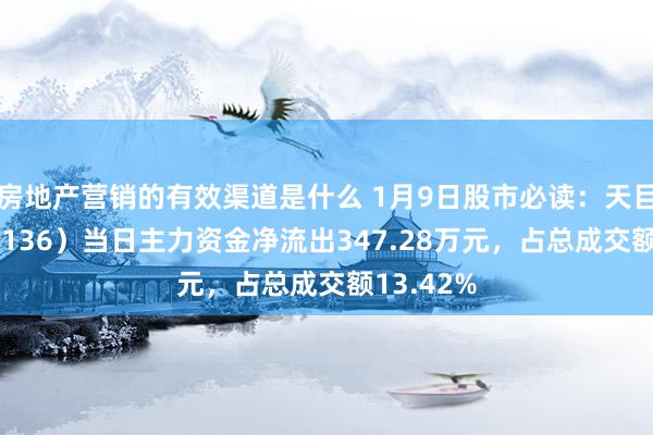 房地产营销的有效渠道是什么 1月9日股市必读：天目湖（603136）当日主力资金净流出347.28万元，占总成交额13.42%