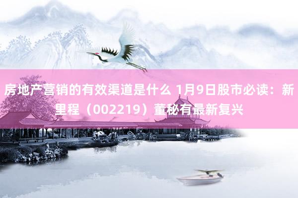 房地产营销的有效渠道是什么 1月9日股市必读：新里程（002219）董秘有最新复兴