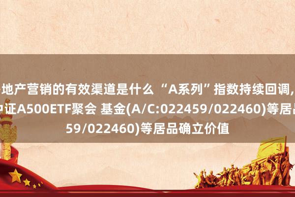 房地产营销的有效渠道是什么 “A系列”指数持续回调,缓和易方达中证A500ETF聚会 基金(A/C:022459/022460)等居品确立价值