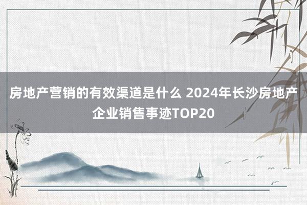 房地产营销的有效渠道是什么 2024年长沙房地产企业销售事迹TOP20