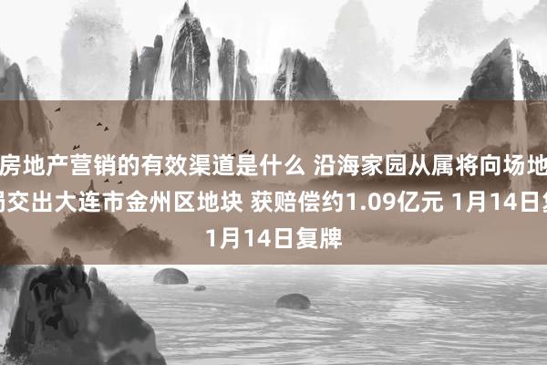 房地产营销的有效渠道是什么 沿海家园从属将向场地当局交出大连市金州区地块 获赔偿约1.09亿元 1月14日复牌