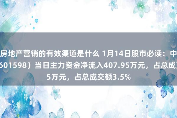 房地产营销的有效渠道是什么 1月14日股市必读：中外洋运（601598）当日主力资金净流入407.95万元，占总成交额3.5%