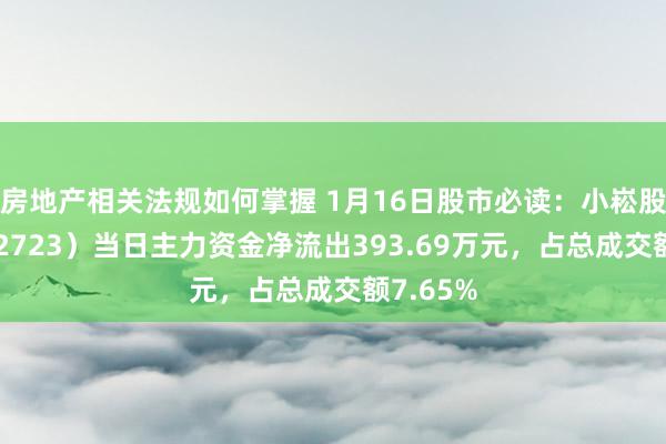 房地产相关法规如何掌握 1月16日股市必读：小崧股份（002723）当日主力资金净流出393.69万元，占总成交额7.65%