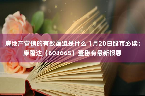 房地产营销的有效渠道是什么 1月20日股市必读：康隆达（603665）董秘有最新报恩