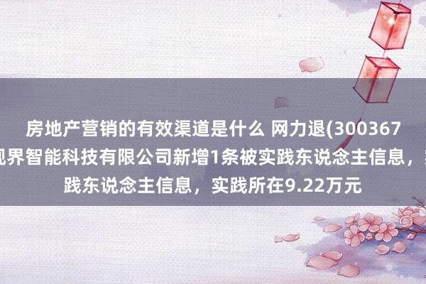 房地产营销的有效渠道是什么 网力退(300367)控股的上海网力视界智能科技有限公司新增1条被实践东说念主信息，实践所在9.22万元