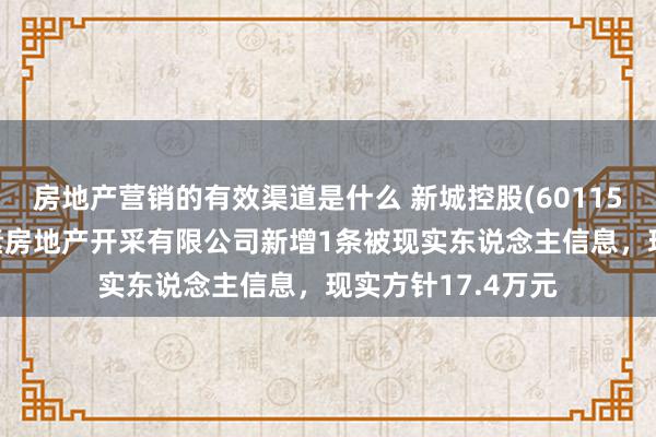 房地产营销的有效渠道是什么 新城控股(601155)控股的重庆鸿素房地产开采有限公司新增1条被现实东说念主信息，现实方针17.4万元