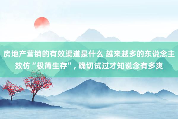 房地产营销的有效渠道是什么 越来越多的东说念主效仿“极简生存”, 确切试过才知说念有多爽