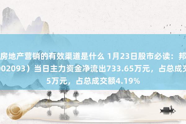 房地产营销的有效渠道是什么 1月23日股市必读：邦本科技（002093）当日主力资金净流出733.65万元，占总成交额4.19%