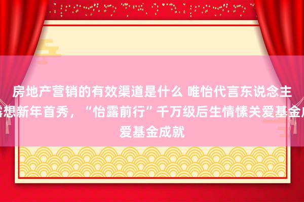 房地产营销的有效渠道是什么 唯怡代言东说念主赵露想新年首秀，“怡露前行”千万级后生情愫关爱基金成就