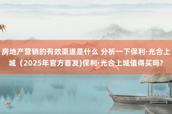 房地产营销的有效渠道是什么 分析一下保利·光合上城（2025年官方首发)保利·光合上城值得买吗?