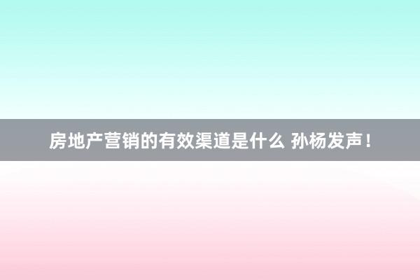 房地产营销的有效渠道是什么 孙杨发声！