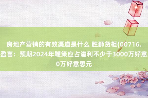 房地产营销的有效渠道是什么 胜狮货柜(00716.HK)盈喜：预期2024年鞭策应占溢利不少于3000万好意思元