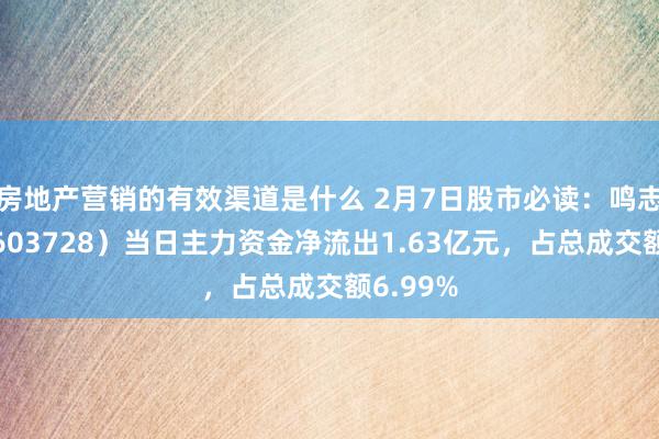 房地产营销的有效渠道是什么 2月7日股市必读：鸣志电器（603728）当日主力资金净流出1.63亿元，占总成交额6.99%