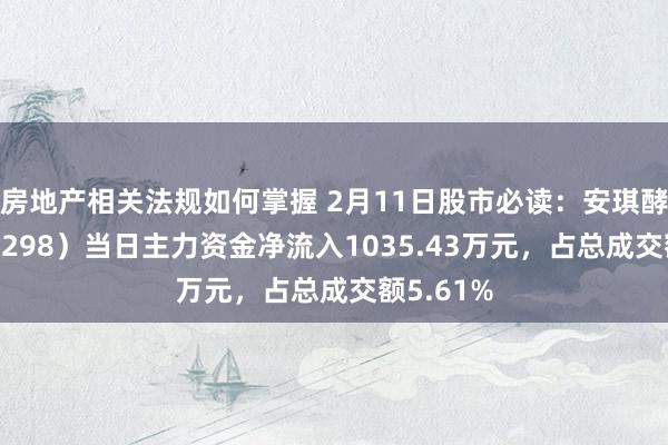 房地产相关法规如何掌握 2月11日股市必读：安琪酵母（600298）当日主力资金净流入1035.43万元，占总成交额5.61%