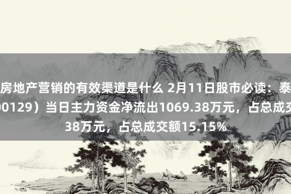 房地产营销的有效渠道是什么 2月11日股市必读：泰胜风能（300129）当日主力资金净流出1069.38万元，占总成交额15.15%