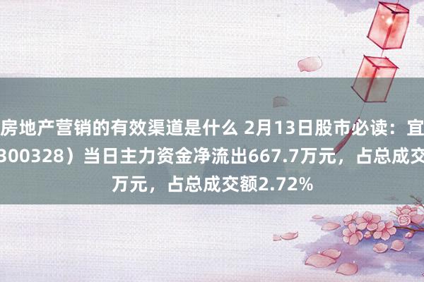 房地产营销的有效渠道是什么 2月13日股市必读：宜安科技（300328）当日主力资金净流出667.7万元，占总成交额2.72%