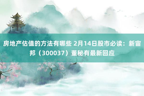 房地产估值的方法有哪些 2月14日股市必读：新宙邦（300037）董秘有最新回应