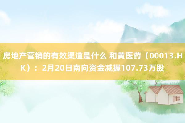 房地产营销的有效渠道是什么 和黄医药（00013.HK）：2月20日南向资金减握107.73万股