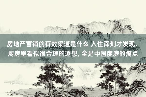 房地产营销的有效渠道是什么 入住深刻才发现, 厨房里看似很合理的遐想, 全是中国度庭的痛点