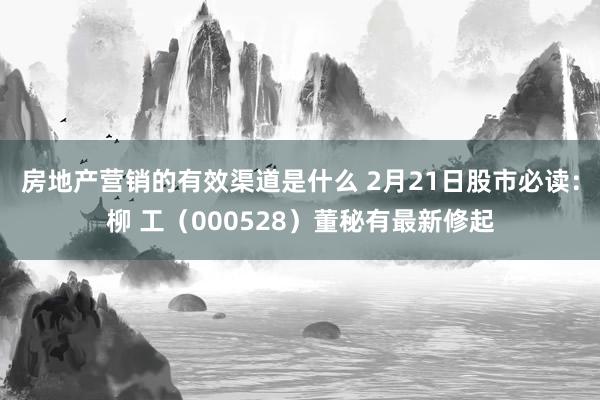 房地产营销的有效渠道是什么 2月21日股市必读：柳 工（000528）董秘有最新修起