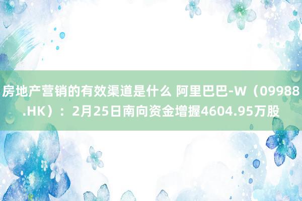 房地产营销的有效渠道是什么 阿里巴巴-W（09988.HK）：2月25日南向资金增握4604.95万股