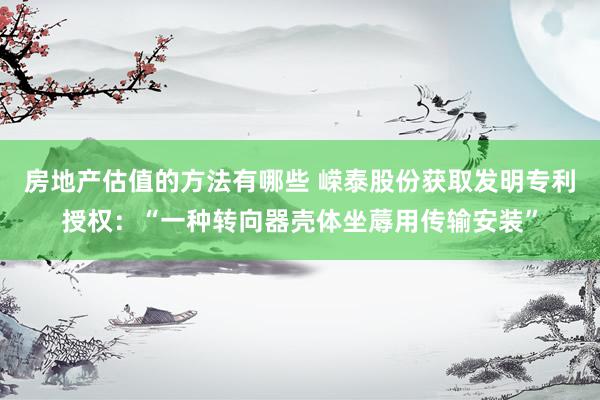 房地产估值的方法有哪些 嵘泰股份获取发明专利授权：“一种转向器壳体坐蓐用传输安装”