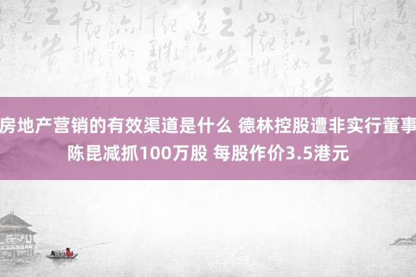 房地产营销的有效渠道是什么 德林控股遭非实行董事陈昆减抓100万股 每股作价3.5港元