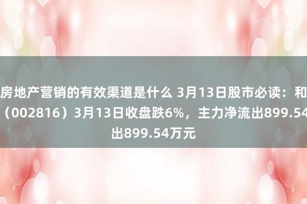 房地产营销的有效渠道是什么 3月13日股市必读：和科达（002816）3月13日收盘跌6%，主力净流出899.54万元